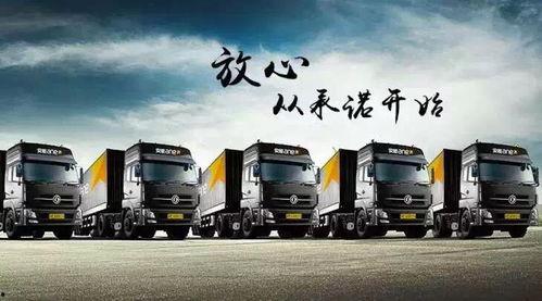 东丰物流爆料最新消息新闻,揭秘行业动态与重大新闻