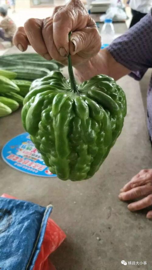 香港的瓜最新爆料,揭秘幕后真相，事件再掀波澜  第3张